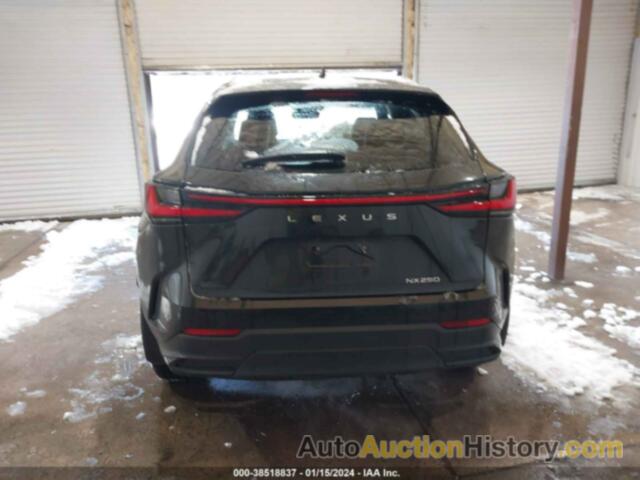 LEXUS NX 250 PREMIUM, 2T2GDCAZ0RC006039