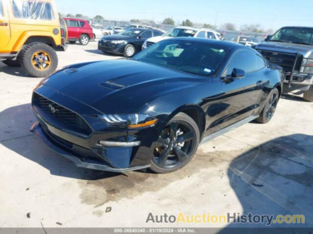 FORD MUSTANG ECOBOOST FASTBACK, 1FA6P8TH5N5135321
