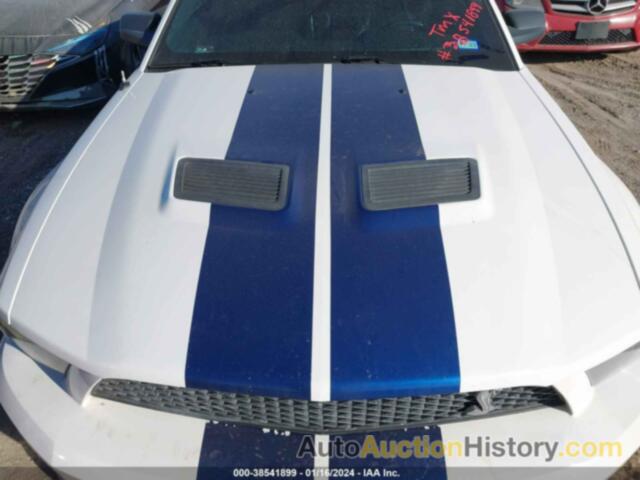 FORD SHELBY GT500, 1ZVHT88S395134593