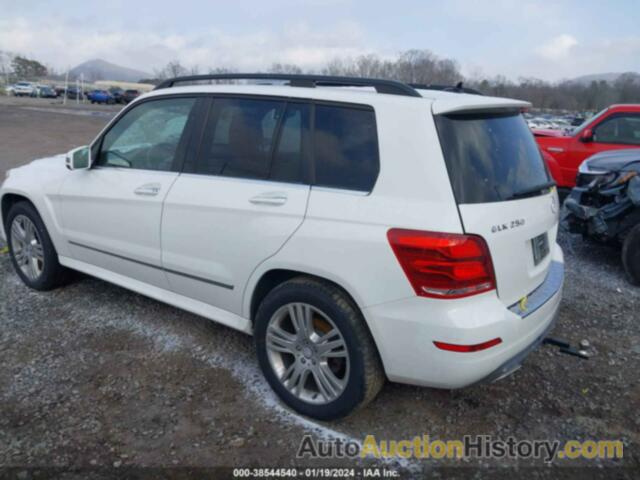 MERCEDES-BENZ GLK 250 BLUETEC 4MATIC, WDCGG0EB5EG209683