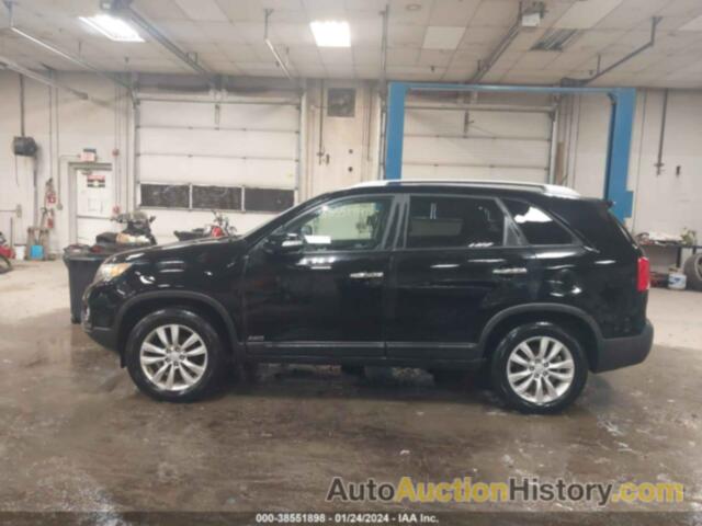 KIA SORENTO EX, 5XYKUCA15BG031246