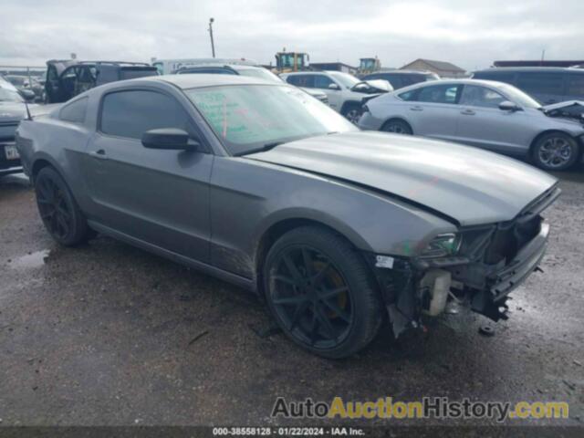 FORD MUSTANG V6, 1ZVBP8AM4D5278961