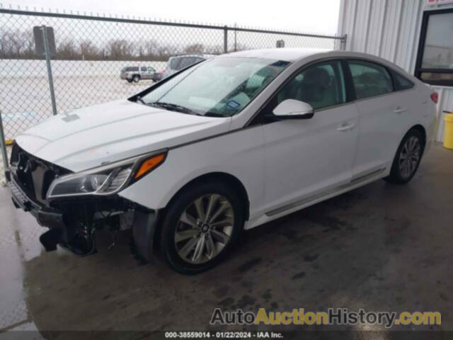 HYUNDAI SONATA SPORT, 5NPE34AF7FH082098