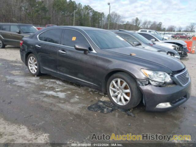 LEXUS LS 460, JTHBL46FX85068502