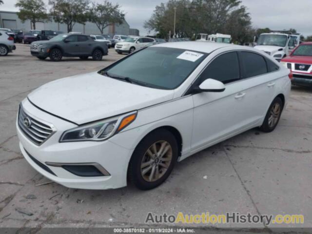 HYUNDAI SONATA, 5NPE24AF1HH469896