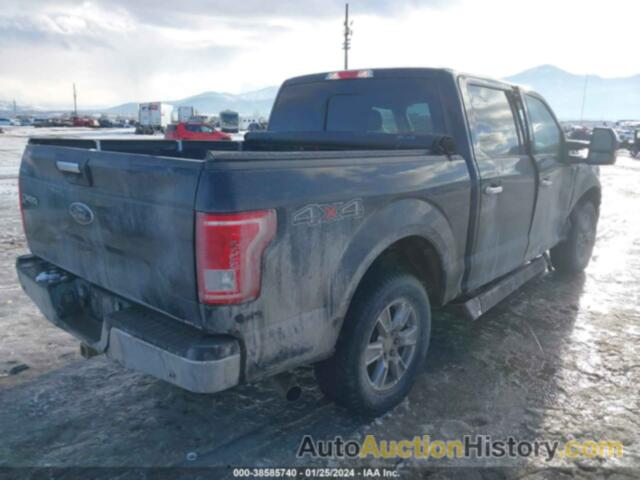 FORD F-150 XLT, 1FTEW1EG0FKD22702