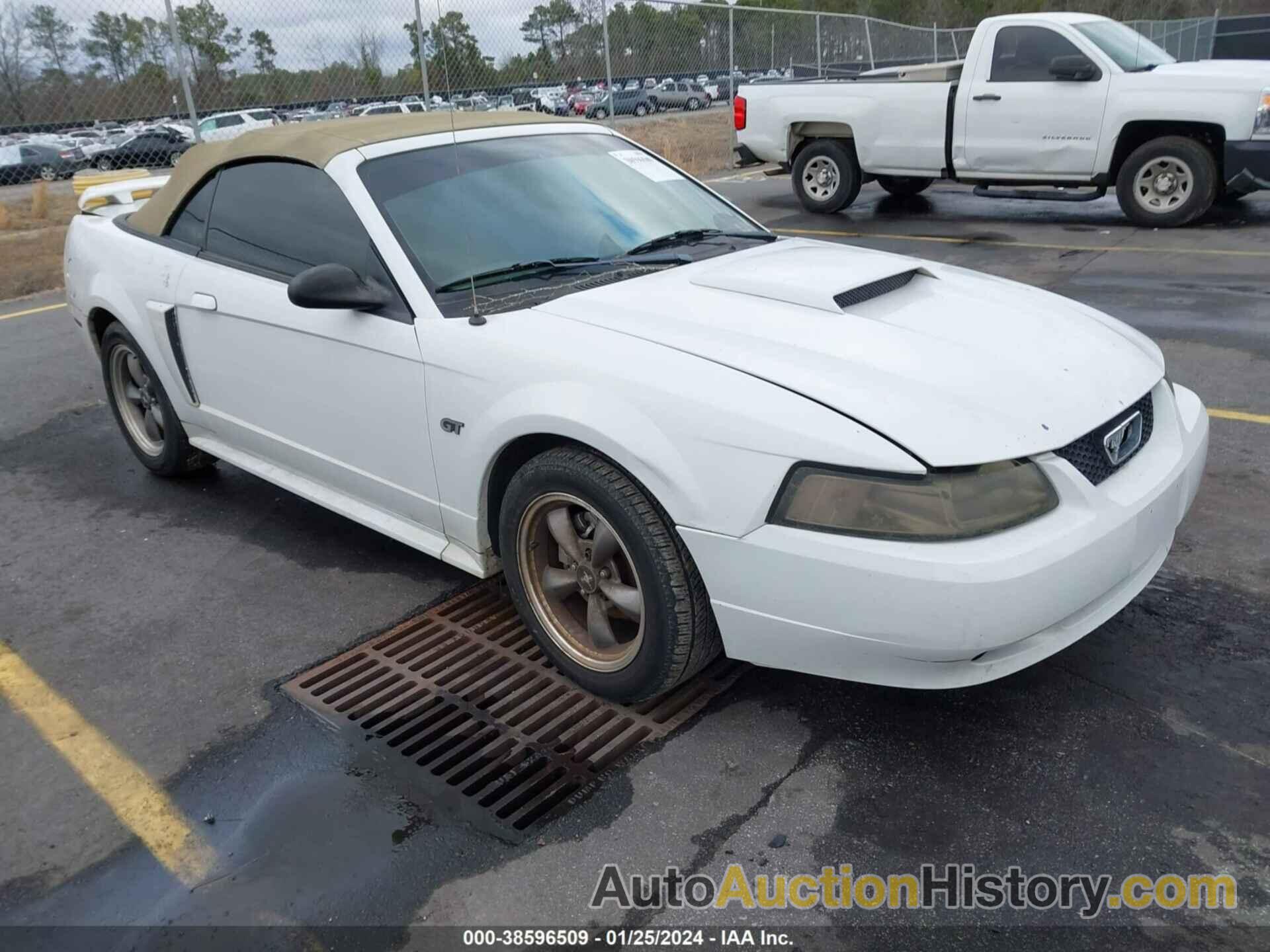 FORD MUSTANG GT, 1FAFP45X33F368733