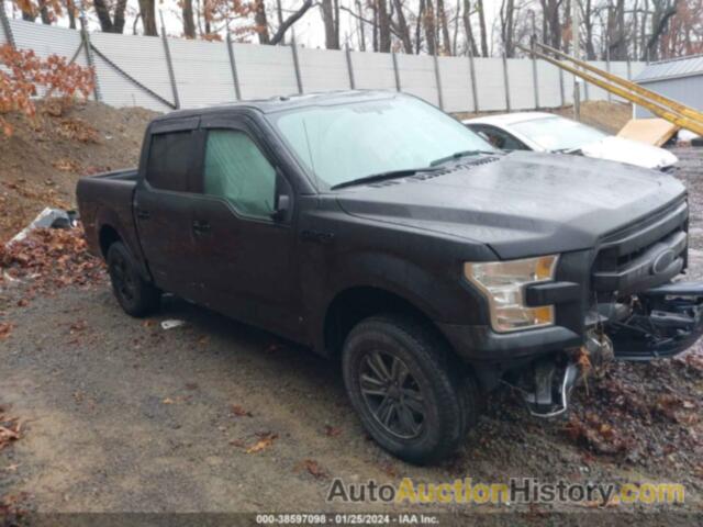 FORD F-150 XLT, 1FTEW1E83FFB92691