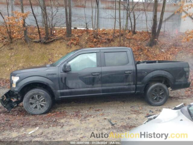 FORD F-150 XLT, 1FTEW1E83FFB92691