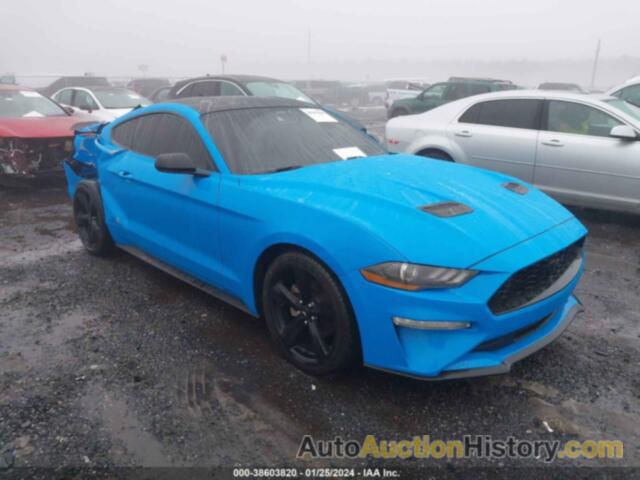 FORD MUSTANG ECOBOOST FASTBACK, 1FA6P8TH6N5130435