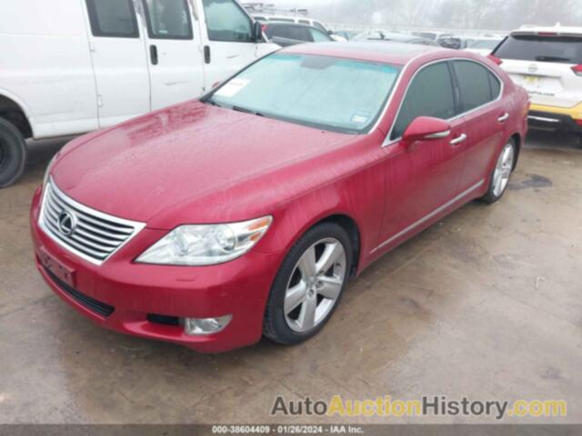 LEXUS LS 460, JTHBL5EF1B5104981