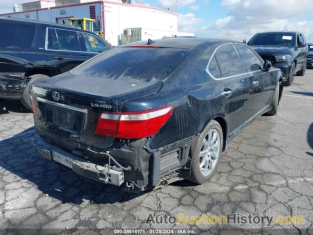 LEXUS LS 460, JTHBL46F375048929