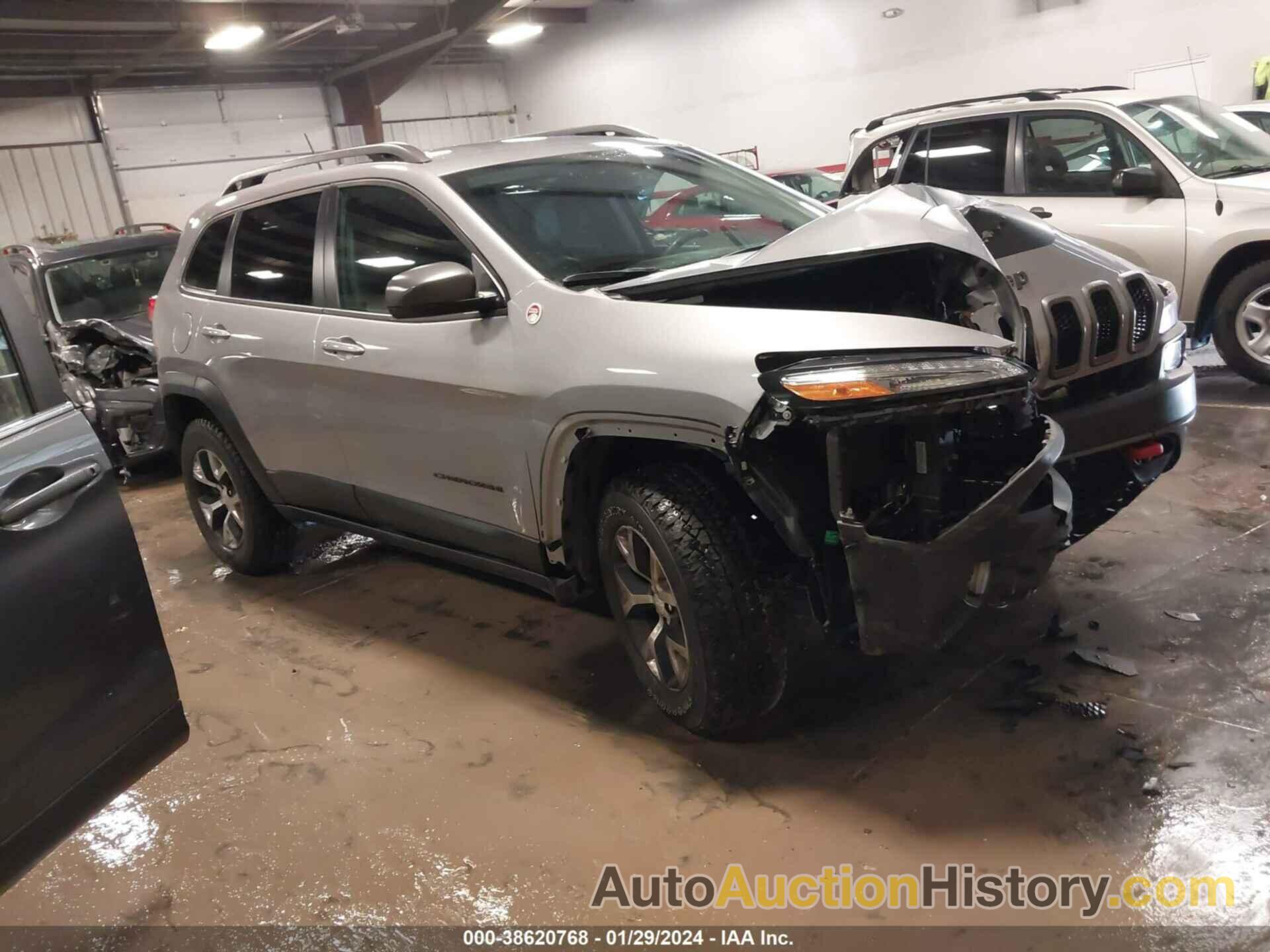 JEEP CHEROKEE TRAILHAWK 4X4, 1C4PJMBB9JD567450