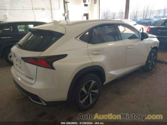 LEXUS NX 300H 300H BASE/300H LUXURY/300, JTJGJRDZ2M5010530