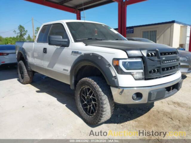 FORD F-150 XLT, 1FTFX1CT4DKE29900