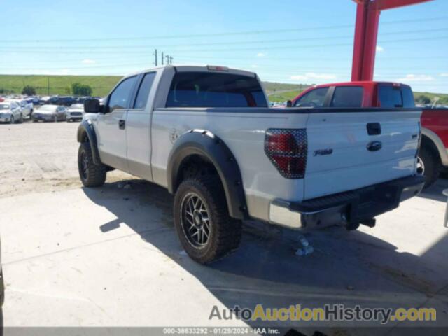 FORD F-150 XLT, 1FTFX1CT4DKE29900