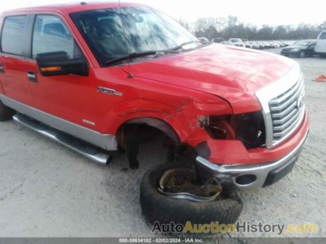 FORD F-150 XLT, 1FTFW1CT3BFA60889