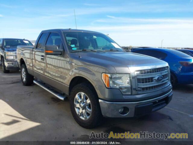 FORD F-150 XLT, 1FTEX1CM9DFD17591