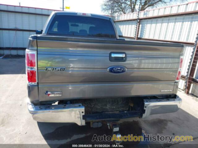 FORD F-150 XLT, 1FTEX1CM9DFD17591