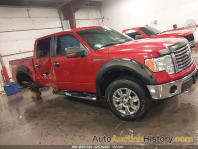 FORD F-150 XLT, 1FTFW1EF8BKE09267