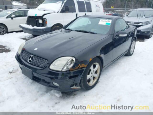 MERCEDES-BENZ SLK 320, WDBKK65F81F228957