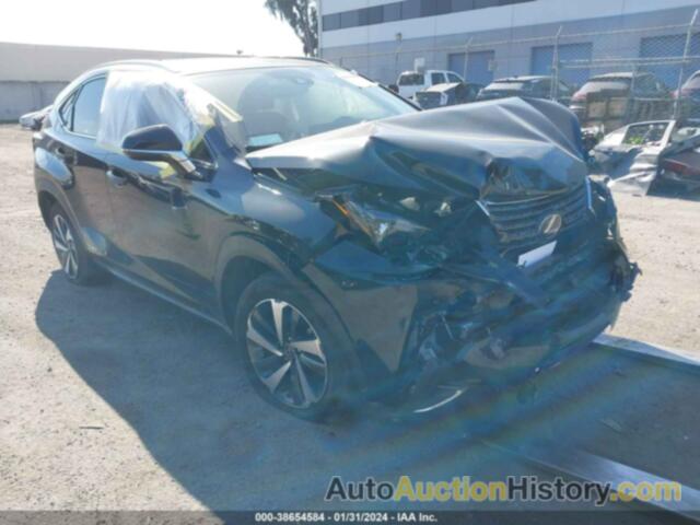 LEXUS NX 300H, JTJGJRDZ0M2158550