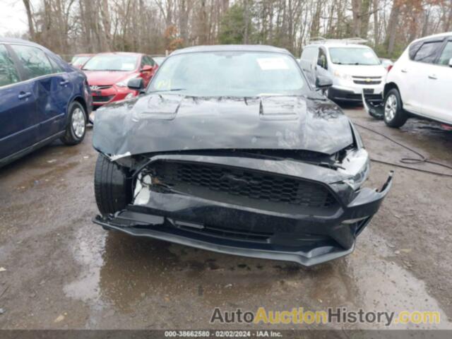 FORD MUSTANG ECOBOOST FASTBACK, 1FA6P8THXL5171096