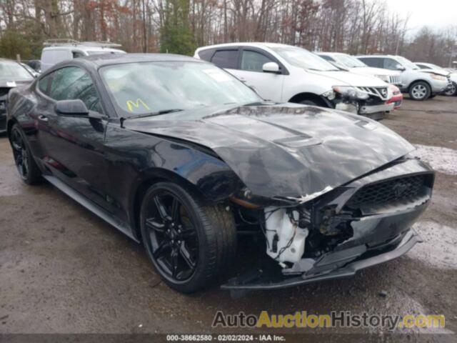 FORD MUSTANG ECOBOOST FASTBACK, 1FA6P8THXL5171096