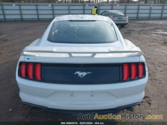 FORD MUSTANG ECOBOOST, 1FA6P8TH3K5124412