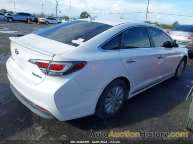 HYUNDAI SONATA HYBRID SE, KMHE24L11GA013559