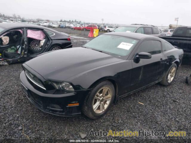 FORD MUSTANG V6, 1ZVBP8AM0D5262708