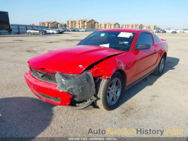 FORD MUSTANG V6, 1ZVBP8AM1C5251120