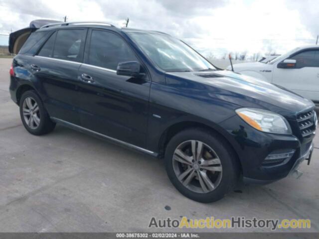 MERCEDES-BENZ ML 350 4MATIC, 4JGDA5HB7CA086418