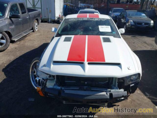 FORD SHELBY GT500, 1ZVHT88S195131241