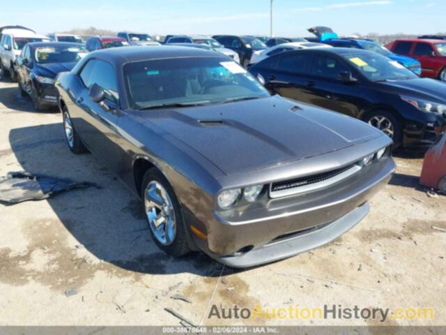 DODGE CHALLENGER SXT, 2C3CDYAG9DH582097