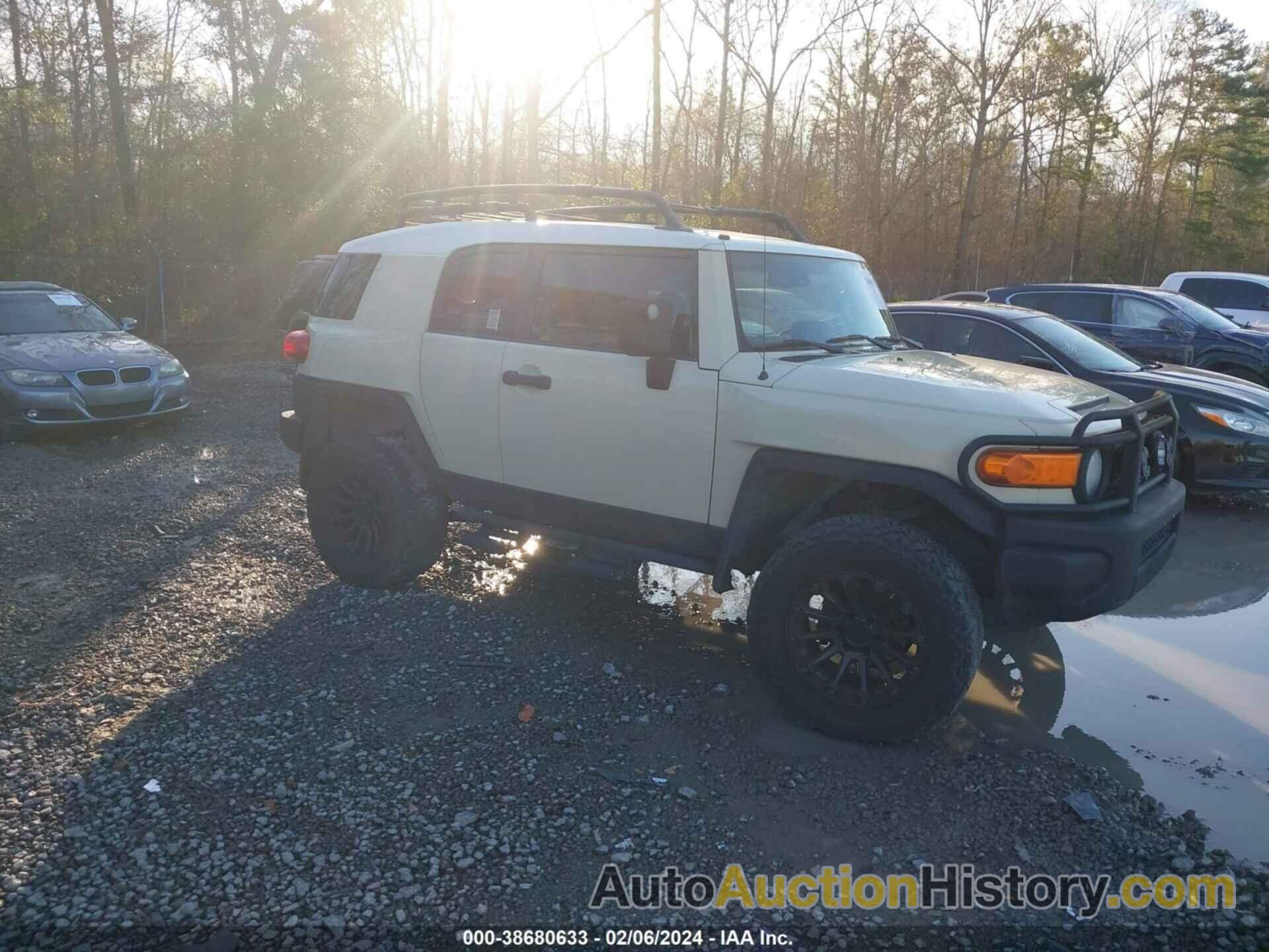 TOYOTA FJ CRUISER, JTEBU11F39K066951