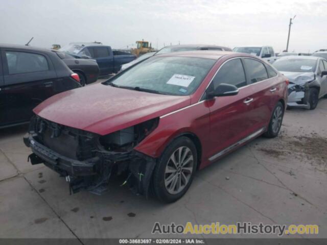 HYUNDAI SONATA SPORT, 5NPE34AF4FH242471