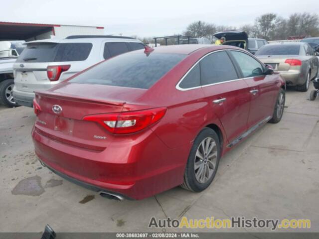 HYUNDAI SONATA SPORT, 5NPE34AF4FH242471