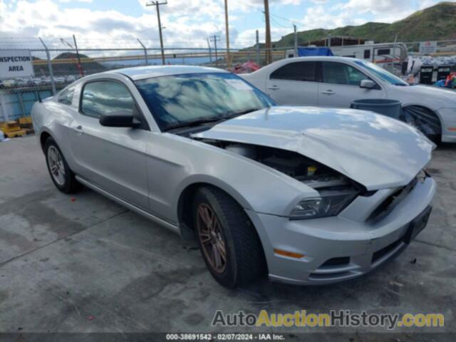 FORD MUSTANG V6, 1ZVBP8AM1E5267076