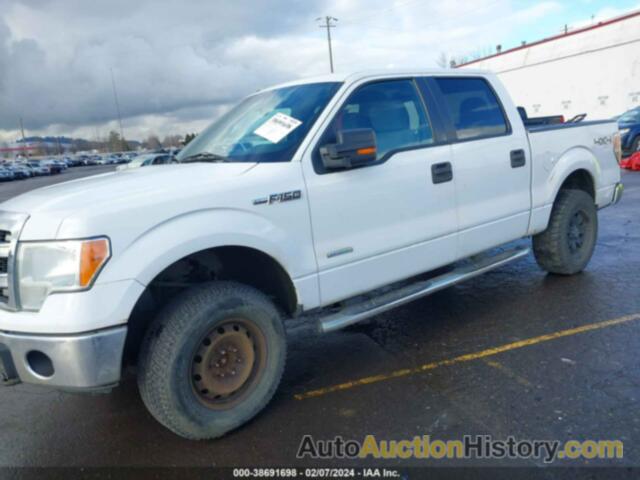 FORD F150 SUPERCREW, 1FTFW1ET0DFB11376