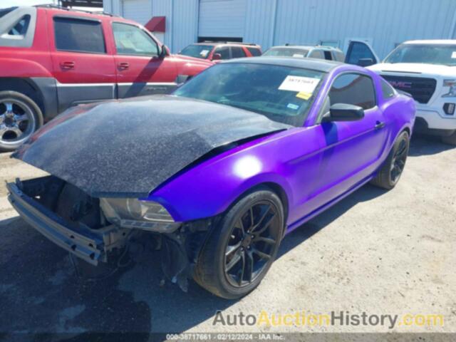 FORD MUSTANG V6, 1ZVBP8AM3E5316214