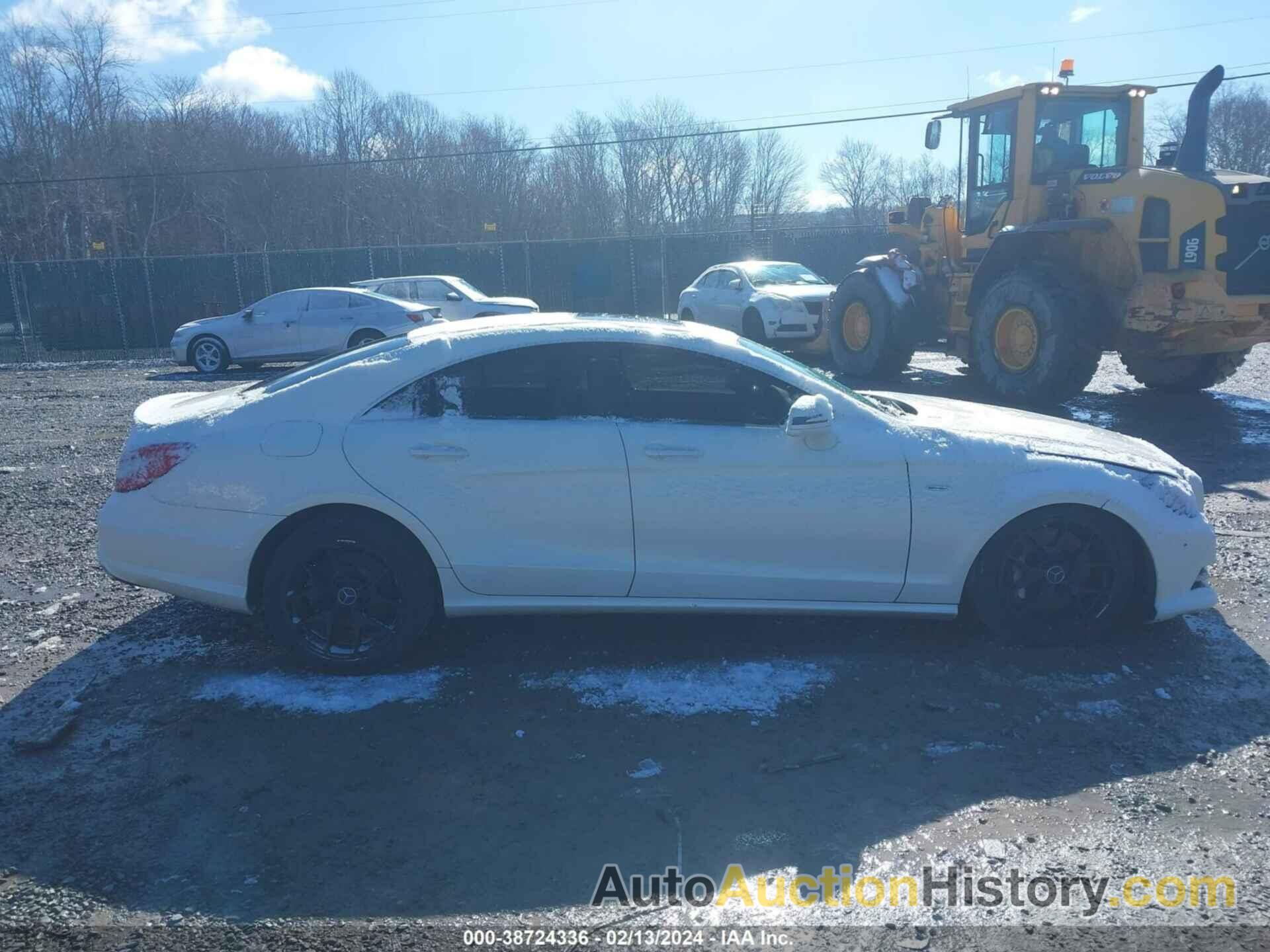 MERCEDES-BENZ CLS 550 4MATIC, WDDLJ9BB3DA088402