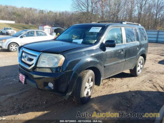 HONDA PILOT EX-L, 5FNYF4H51BB039970