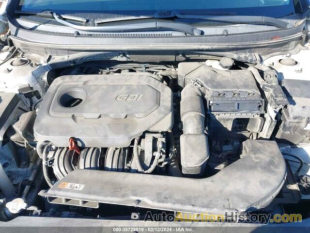 HYUNDAI SONATA SPORT, 5NPE34AF0HH555455