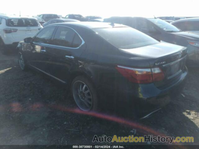 LEXUS LS 460, JTHCL5EF3A5006022