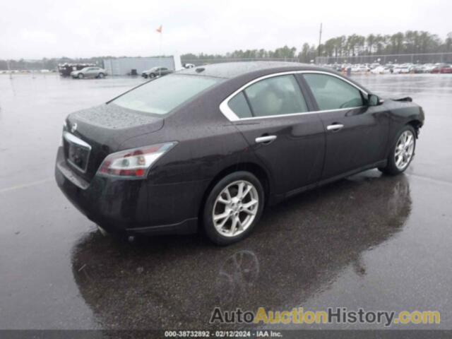 NISSAN MAXIMA 3.5 SV, 1N4AA5AP8CC860716