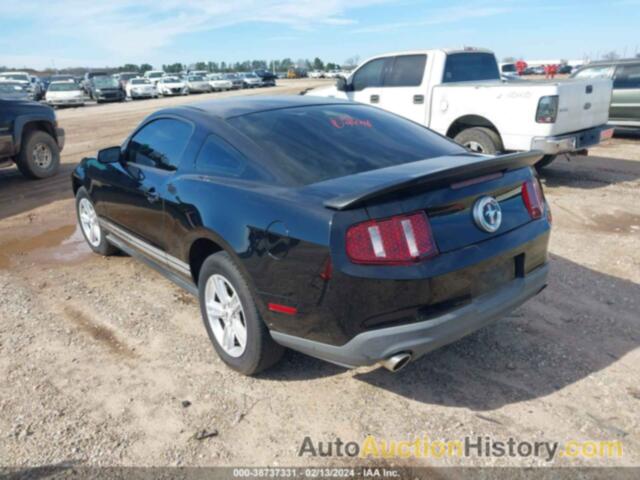 FORD MUSTANG V6, 1ZVBP8AM7C5261344