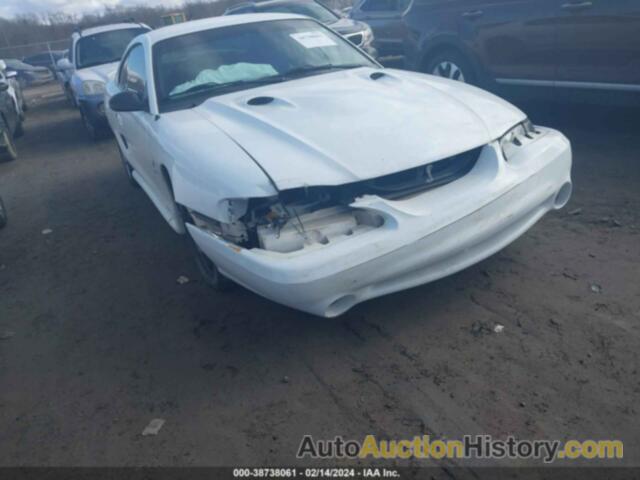 FORD MUSTANG COBRA, 1FALP47V8VF124609