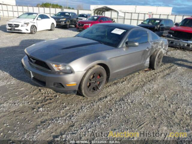 FORD MUSTANG V6/V6 PREMIUM, 1ZVBP8AN3A5129297