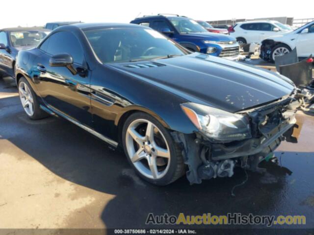 MERCEDES-BENZ SLK 300, WDDPK3JA3GF116887